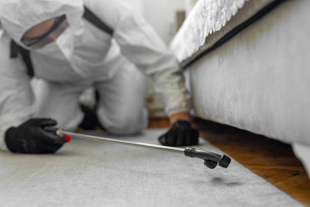 Professional Termite Control technician working in Bronx, NY
