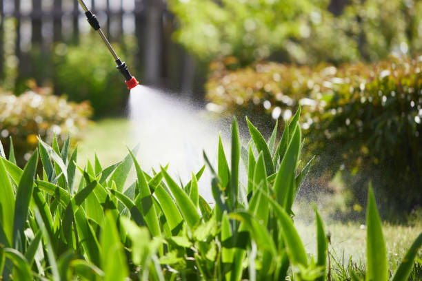 24/7 Emergency Termite Control experts in Bronx, NY
